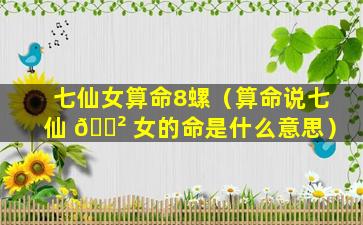 七仙女算命8螺（算命说七仙 🌲 女的命是什么意思）